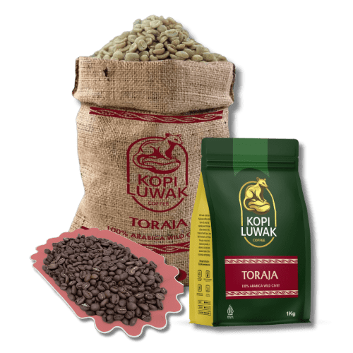 Toraja LUWAK